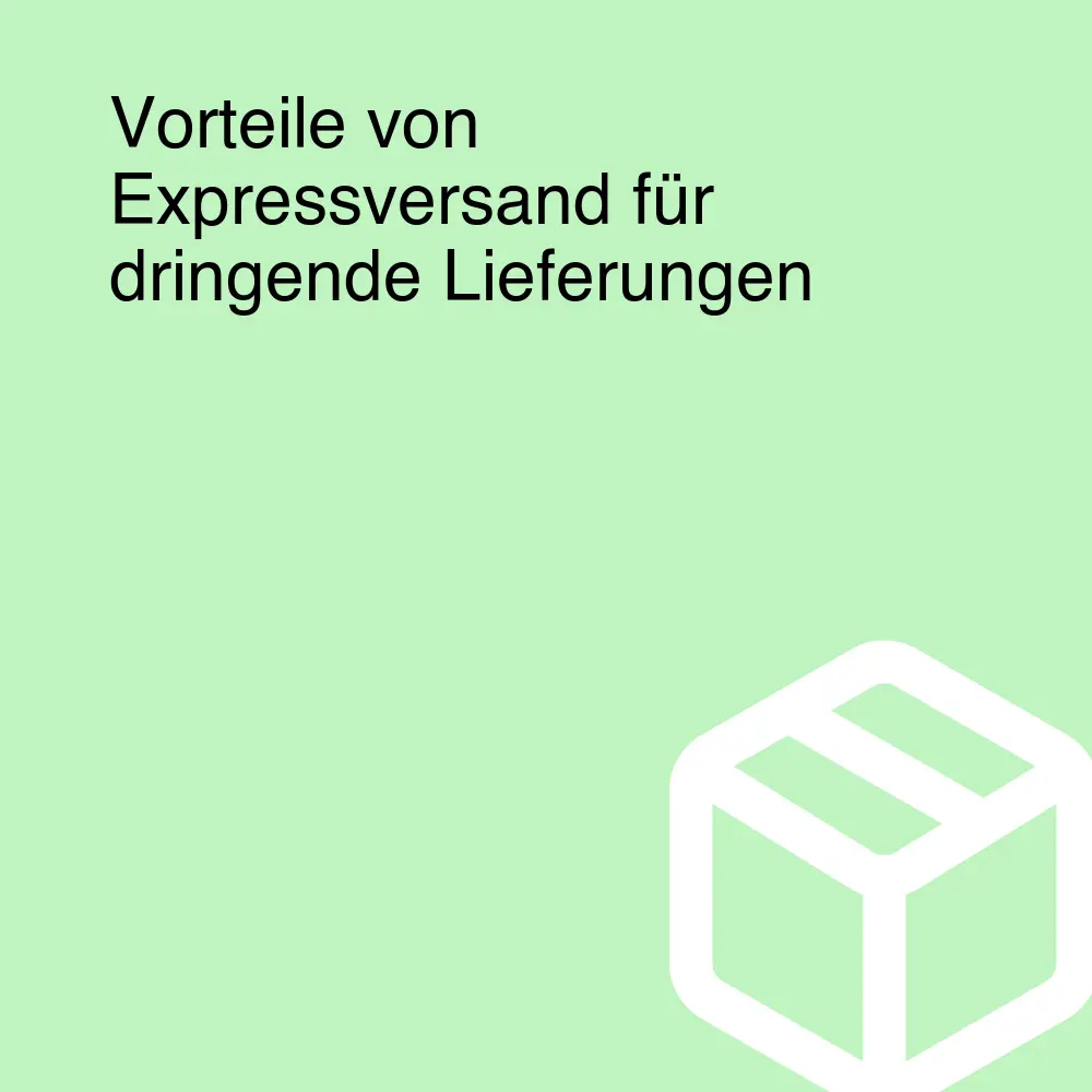 Vorteile von Expressversand für dringende Lieferungen