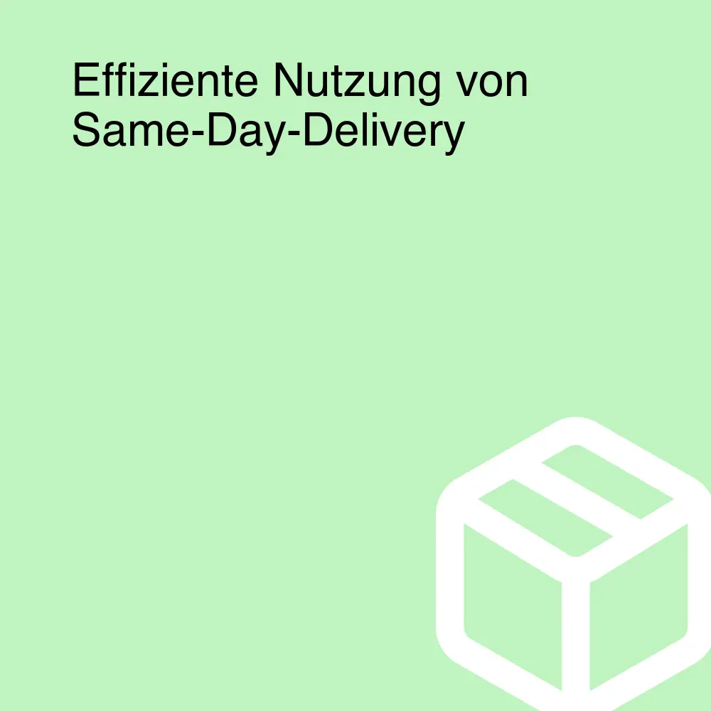 Effiziente Nutzung von Same-Day-Delivery