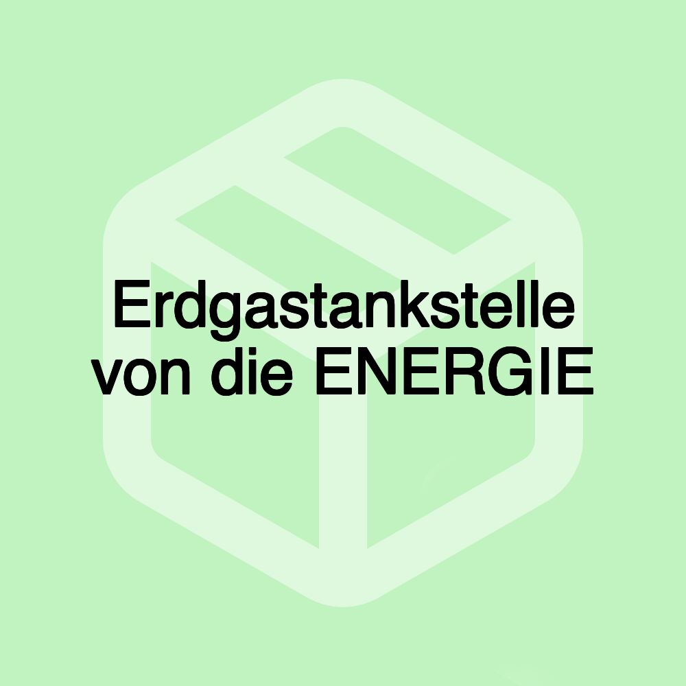 Erdgastankstelle von die ENERGIE